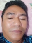 Taufik Sompie, 54 года, Kabupaten Poso