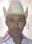 Manuel, 36 лет, Mesa