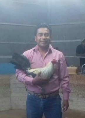 Alberto aparic, 46, Estados Unidos Mexicanos, México Distrito Federal