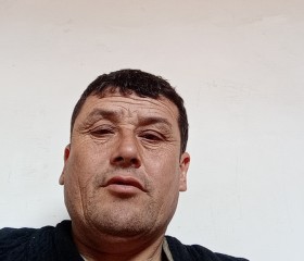 Федя, 47 лет, Toshkent