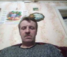 Владимир, 51 год, Невель