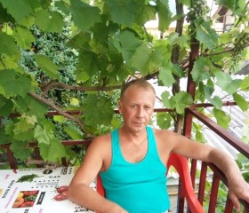 Алексей Егоров, 51 год, Иваново