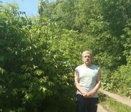 ринат, 63 года, Казань