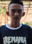 Feri pitut, 19 лет, Kabupaten Malang