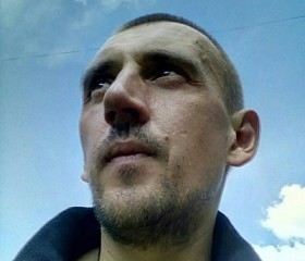 Сергей, 43 года, Сланцы