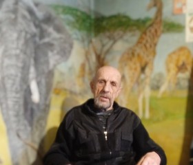 Сергей, 72 года, Арзамас