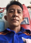 thevinh, 50  , Tay Ninh
