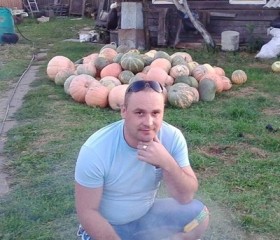 Михаил, 40 лет, Светлогорск