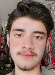 Abid, 19 лет, تلمبہ