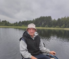 Николай, 65 лет, Осташков