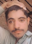 Majid, 19 лет, عارِف والا