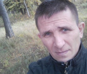 Анатолий, 43 года, Киржач
