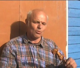Николай, 73 года, Киров (Кировская обл.)