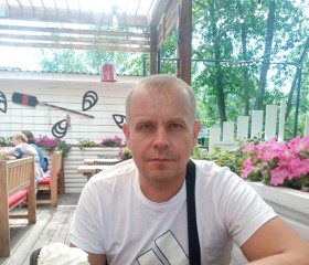 Алекс, 43 года, Курск