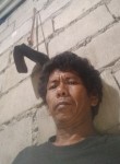 Arnold Llacuna, 46 лет, Maynila