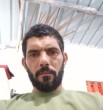 فحل