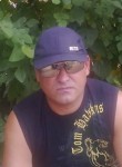 Сергей, 44 года, Камышин