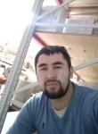 Samandar, 35, Saint Petersburg