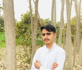 King allone, 24 года, پشاور