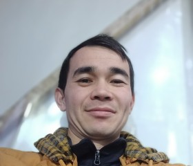 Санжар, 31 год, Бишкек