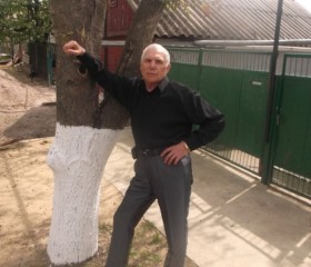 Александр, 65 лет, Подільськ
