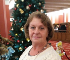 Лариса, 61 год, Новосибирск