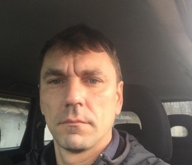 Артём, 45 лет, Железногорск (Курская обл.)