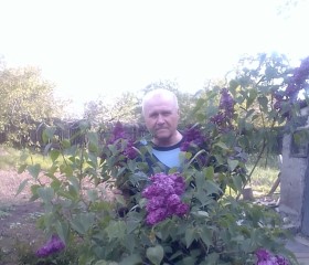 Николай, 69 лет, Торез