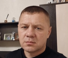 Андрей Елисеев, 47 лет, Бор