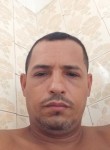 Pauzudo, 36 лет, Rio de Janeiro