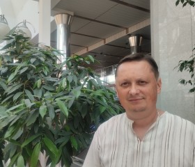 Игорь, 45 лет, Баранавічы
