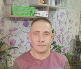 Николай, 37 лет, Вельск