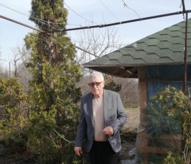 Анатолий Киба, 60 лет, Бобров
