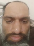 Hamid, 37 лет, تِهران