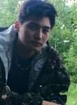 Aleksey, 20  , Yermolino