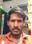 Ghashaym, 33 года, New Delhi