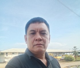 Joey bermudez, 55 лет, Lungsod ng Puerto Princesa