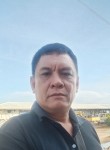 Joey bermudez, 55 лет, Lungsod ng Puerto Princesa