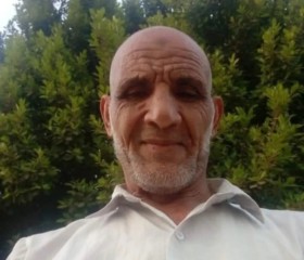 عبدة المصرى, 51, Cairo