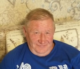Николай, 66 лет, Пласт