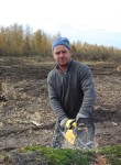 Владимир - Курск