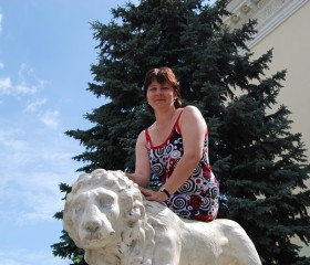 Светлана , 51 год, Сухиничи