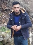 Mehmet, 32 года, Iğdır