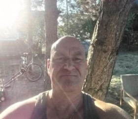 Károly, 48, Bunschoten