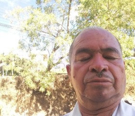 Luis aLons0 pinu, 69 лет, Santa Ana