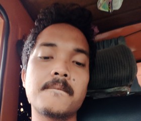 Pardomuan, 26 лет, Kota Medan