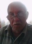 Владимир, 72 года, Артёмовский