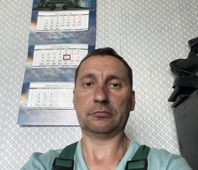 Николай, 50 лет, Подольск