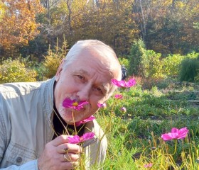 юри, 68 лет, Владивосток
