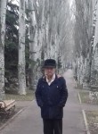 Владимир, 81 год, Волгодонск